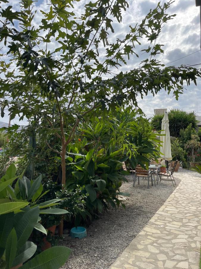 House Of Sunset 2 Sivas Apartment Екстериор снимка